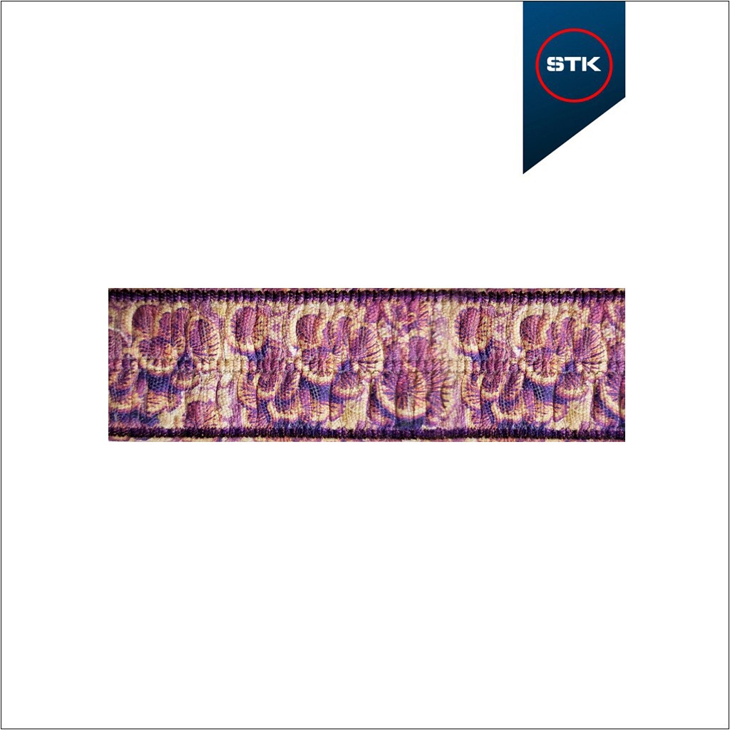 EL&Aacute;STICO STK 1824